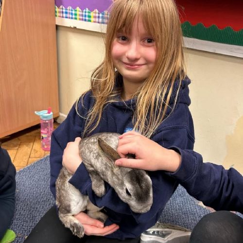 Animal Welfare Club