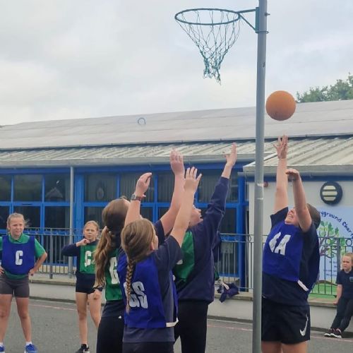 House Netball