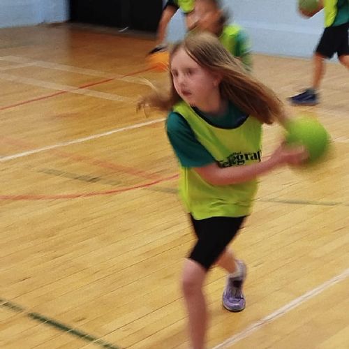Yr4 House Dodgeball