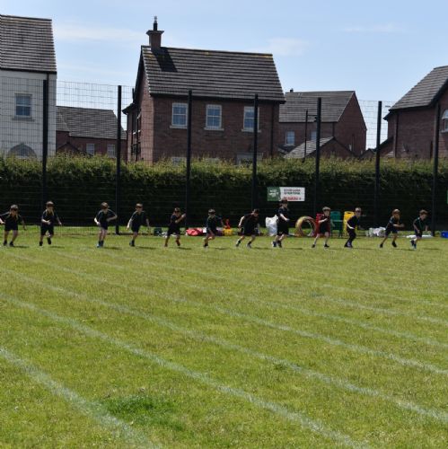 Senior Sports Day - Part 1