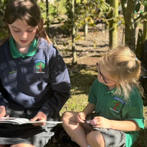 1d5774da-2812-4558-995a-4a88d2bd4814