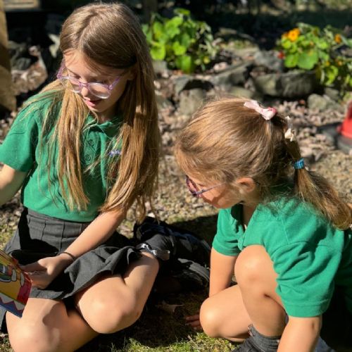 2416cf07-46ed-4d2e-87d2-a577bfad37e7