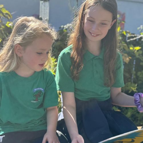 61fcc6fc-c7f0-4914-9183-3b6c66833fac