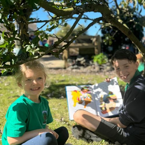 7e4d2729-df70-4ec4-bd82-7ac941968ce5