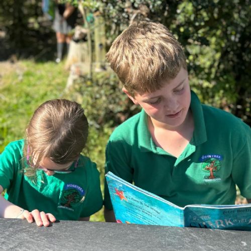 81349ea1-b989-4aca-9357-2bcec75b722c