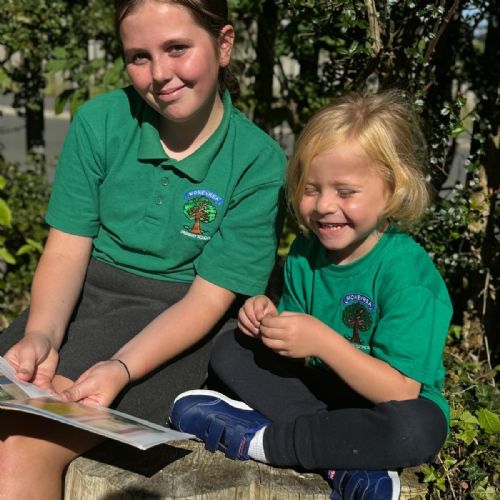 d234b318-baa4-4864-a483-6f922f8e2a95