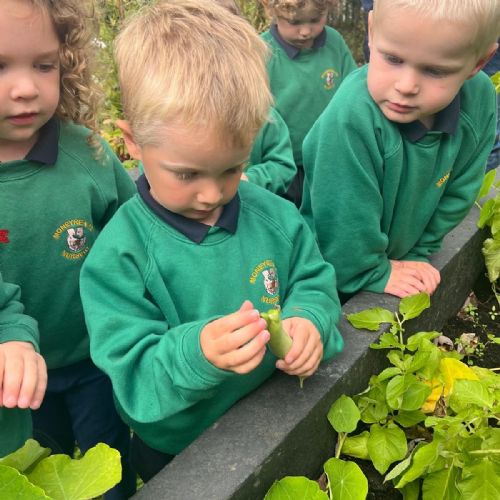 1b4dbce9-e52c-4662-97cd-ce6d929d21ce