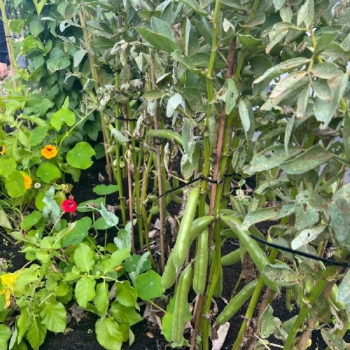 2dd73bab-5ad8-48e2-957e-32b4e65e6fb7