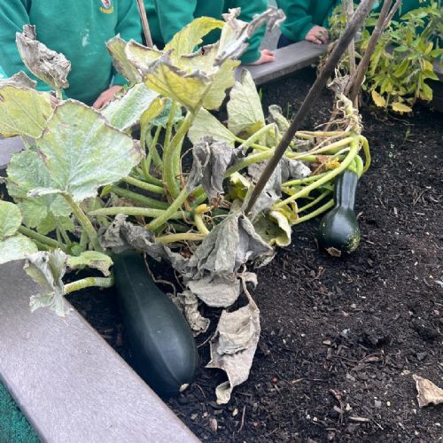 3a4c587b-90a5-4ddd-81dd-00835d9f511a