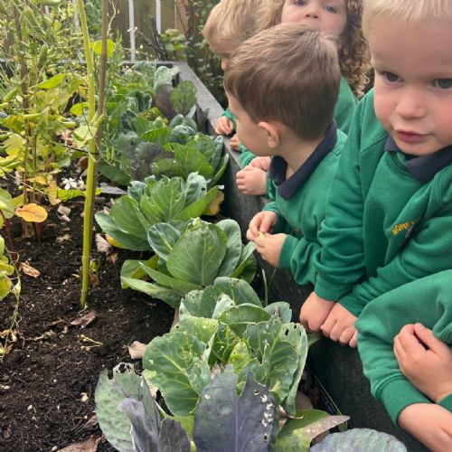 3a60522a-0188-4a68-81fe-c1cbc38e6e9c