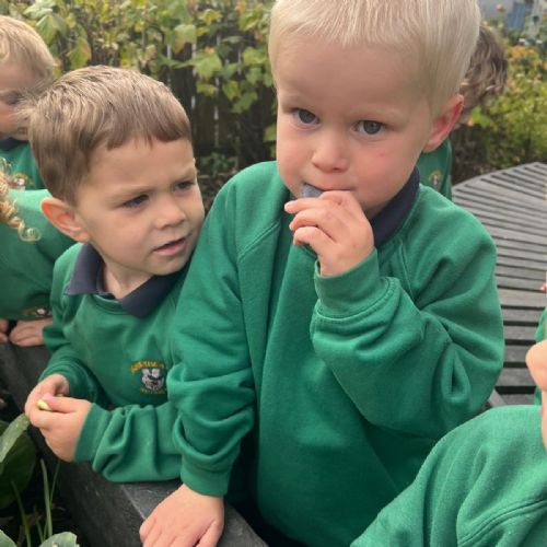 5ed32308-3789-4a66-b25a-e578c7885e1c