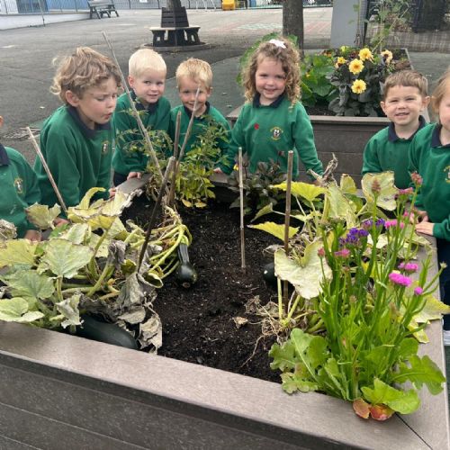 7dcfa276-20b8-4592-aad1-98a215e9d046