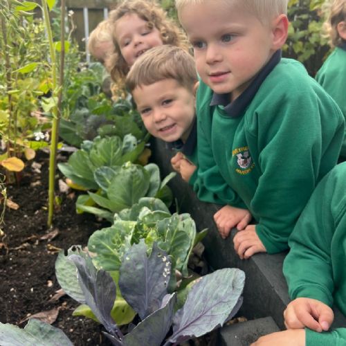 7fe5c36c-6838-4246-b4bd-fbff2ed8697f