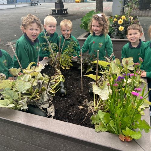 8031ed34-54e9-4856-8eb8-0c607b436229