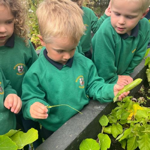 be562299-eb2a-47bb-8338-e351b3a68755