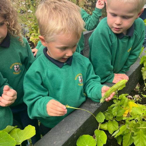 bf17ae86-e760-45b8-90e2-850ef741b9ad