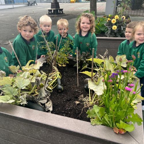 c6f1d17c-ce02-4856-80a6-ea469949ac76