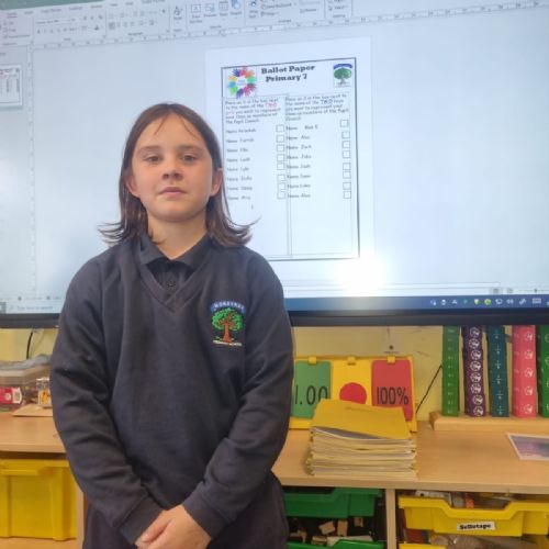 Pupil Council