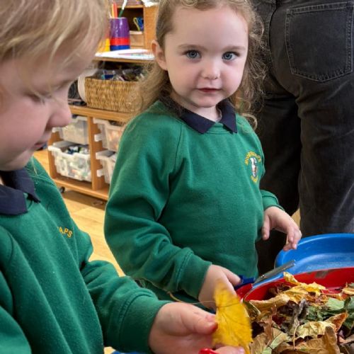 36ff7727-7057-4d75-b098-854e1cee74fd