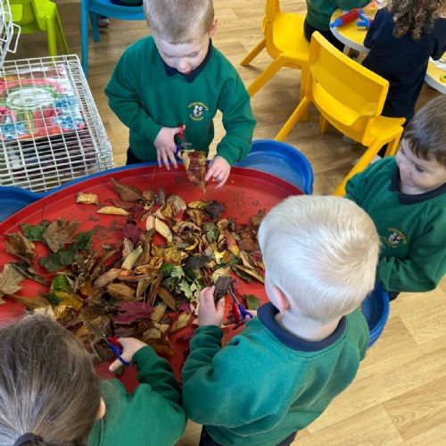 9238fb5c-50d5-49b6-87e3-7d0faf4cccad