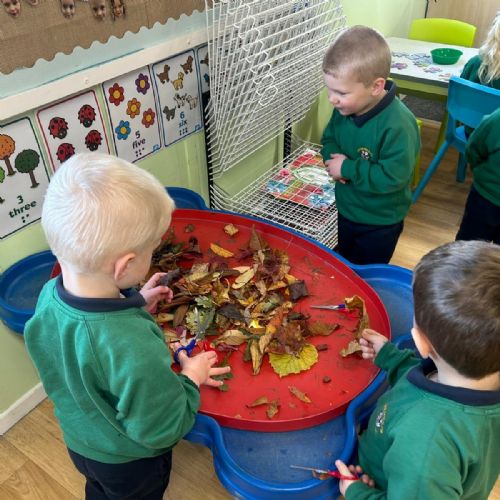 c9fdc50b-beb9-498d-bfec-a1c517bab076