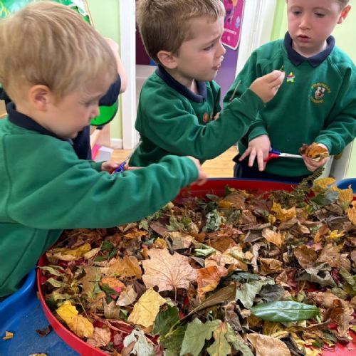 e3e84a33-f524-4793-8b12-1f53cfc05e81