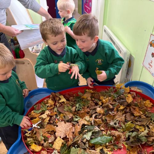 f4683587-ce05-4a9f-8d33-45a648632baa