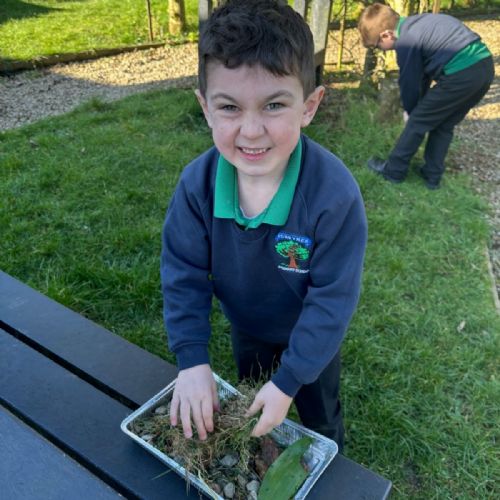 Making frog habitats as part of Science Week.