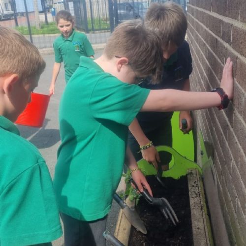 Yr7 Farmers