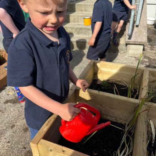 Our Very Own Balmoral Show