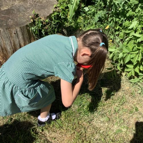 Scavenger Hunt in the Eco Garden