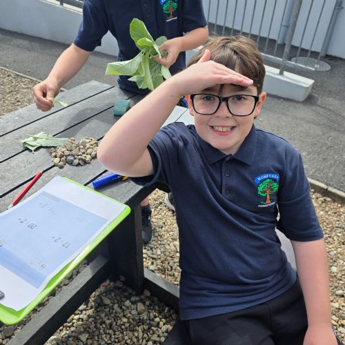 Outdoor Maths in the Eco Garden