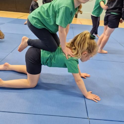 Yr1 Gymnastics 🤸🏽‍♂️ Learning to balance 🤸‍♀️