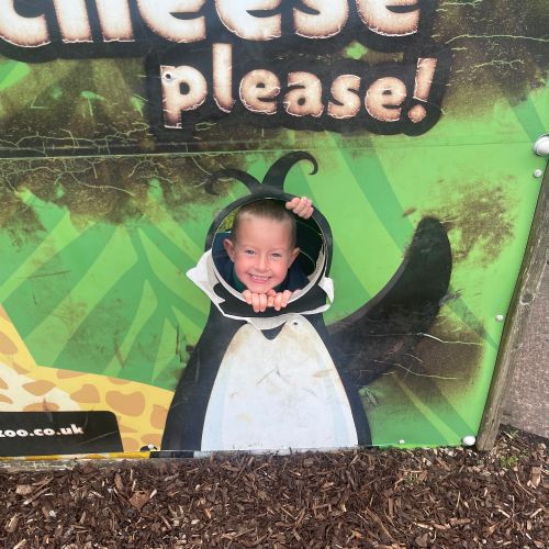 More Zoo Photos