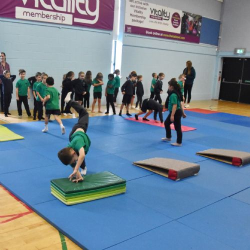 Week 2 in Gymnastics