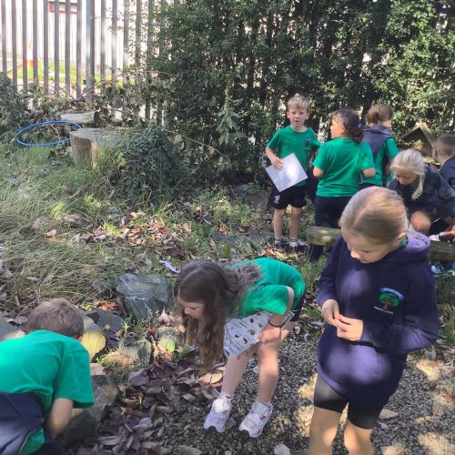 Year 3 Minibeast Hunters