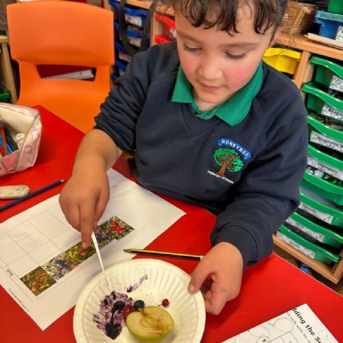Yr3 Investigation