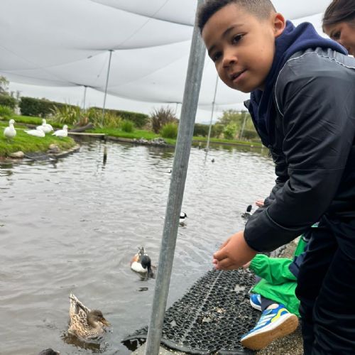 Yr3 Trip to Castle Espie