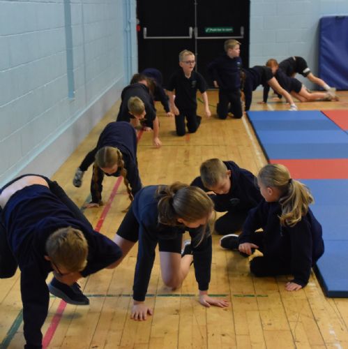 Yr5 Gymnastics
