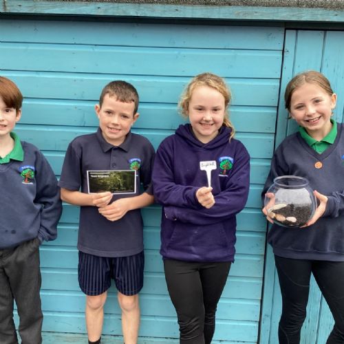 Investigating Biomes