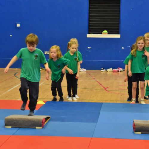 Gymnastics - Week 2