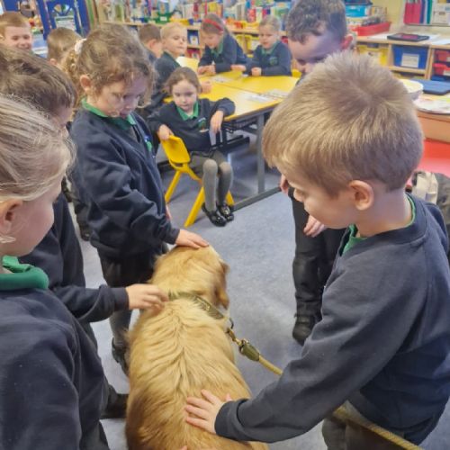 Olive Visits Moneyrea