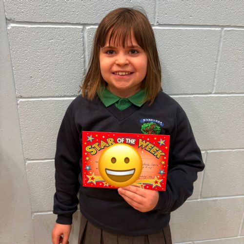 Three weeks' worth of Moneyrea Marvels 🌟🌟🌟and an AK assembly for good measure.