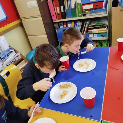 Chinese New Year Food