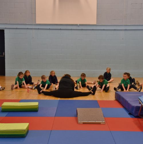 Yr1 Gymnastics - Week 1