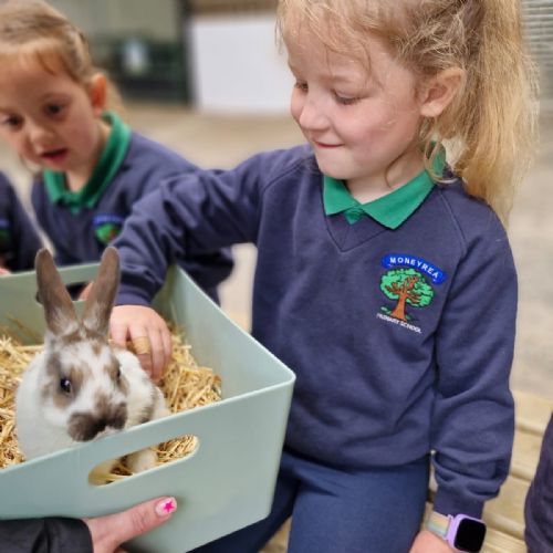 Yr1 Trip to Streamvale