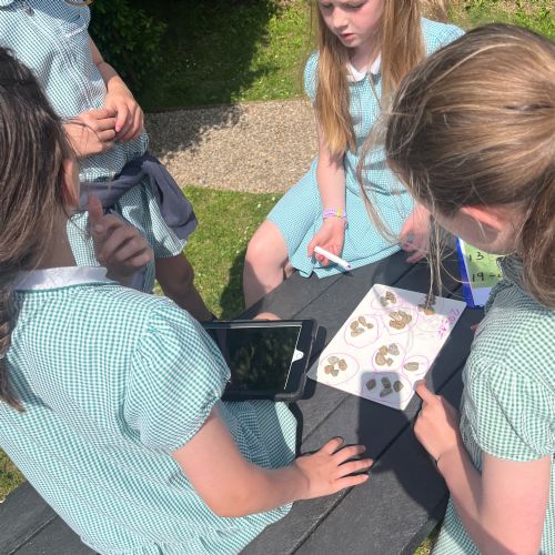 Outdoor Mathematics