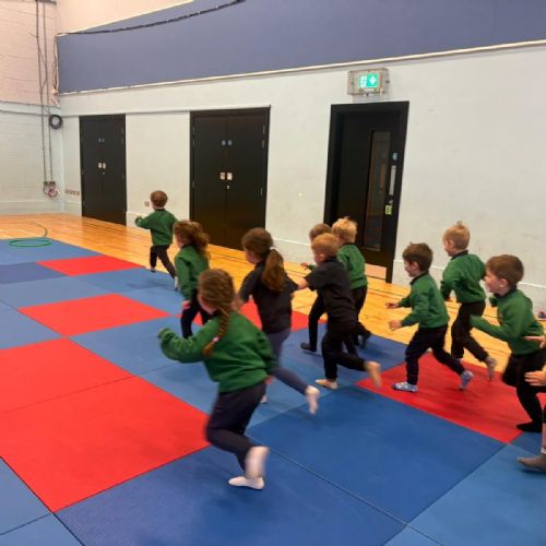 Nursery Gymnastics