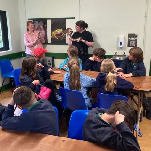 Yr6 at the Zoo