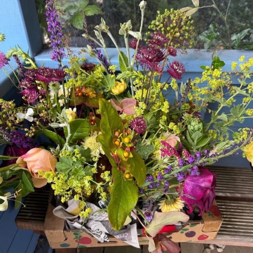 Yr3 Plant Sale